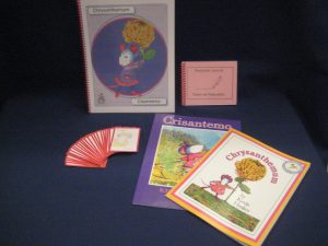 Chrysanthimum